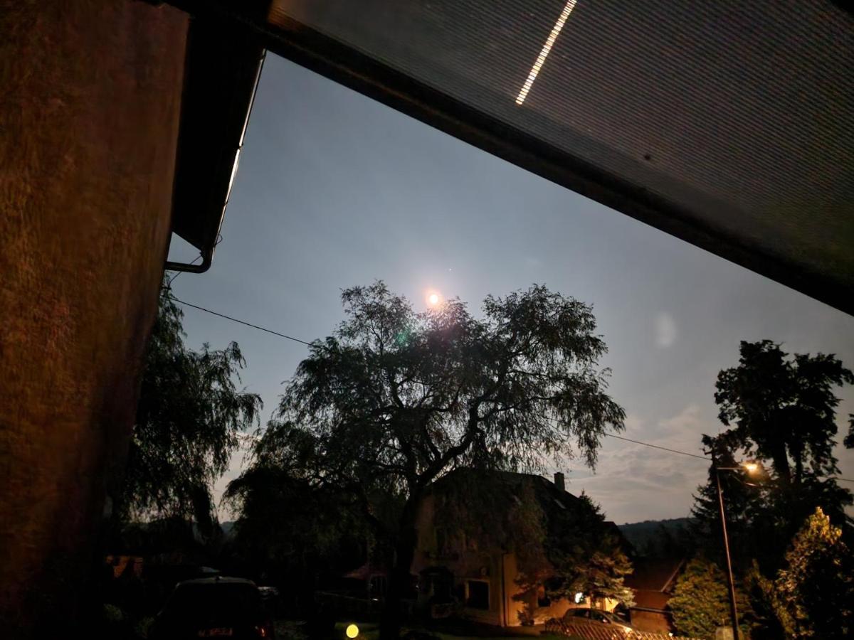 Penzion U Jezevce Hřensko Exteriör bild